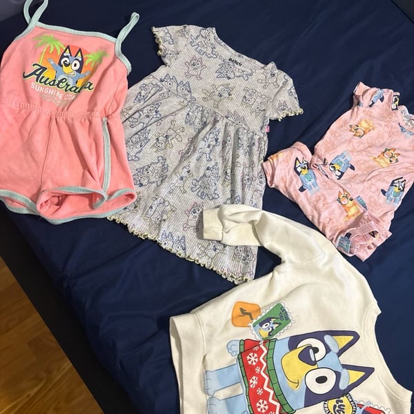 Bluey Toddler Girls Size 4T Clothing Bundle Dress, Romper, Pajama Set, & Sweatshirt