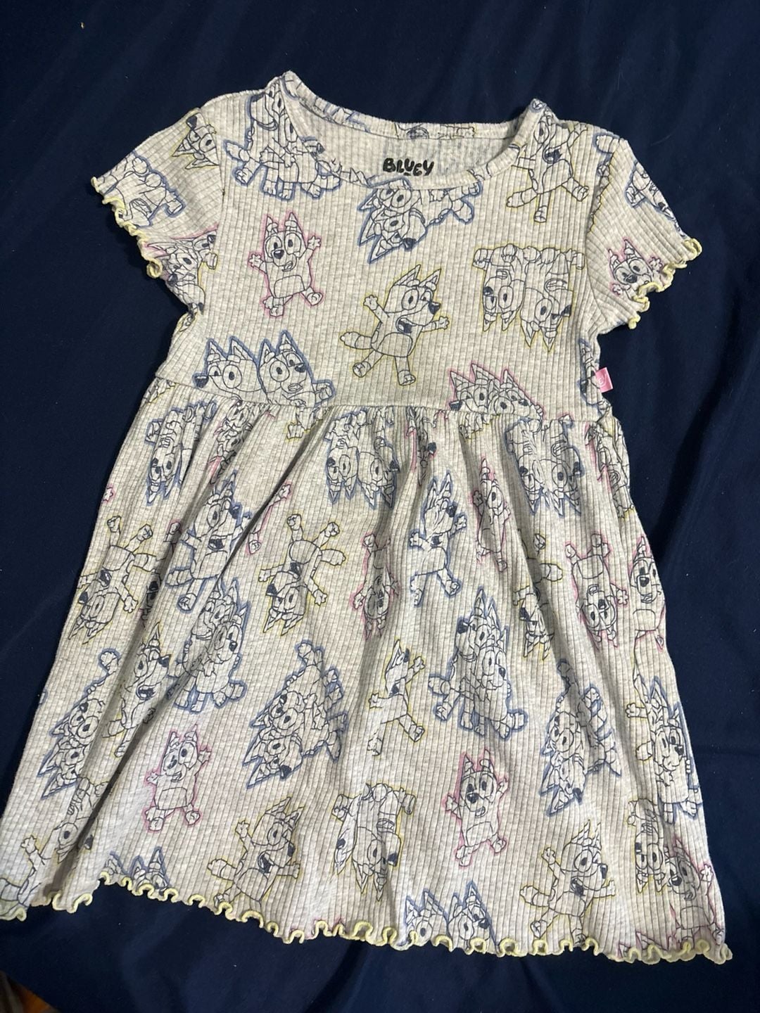 Bluey Toddler Girls Size 4T Clothing Bundle Dress, Romper, Pajama Set, & Sweatshirt 2