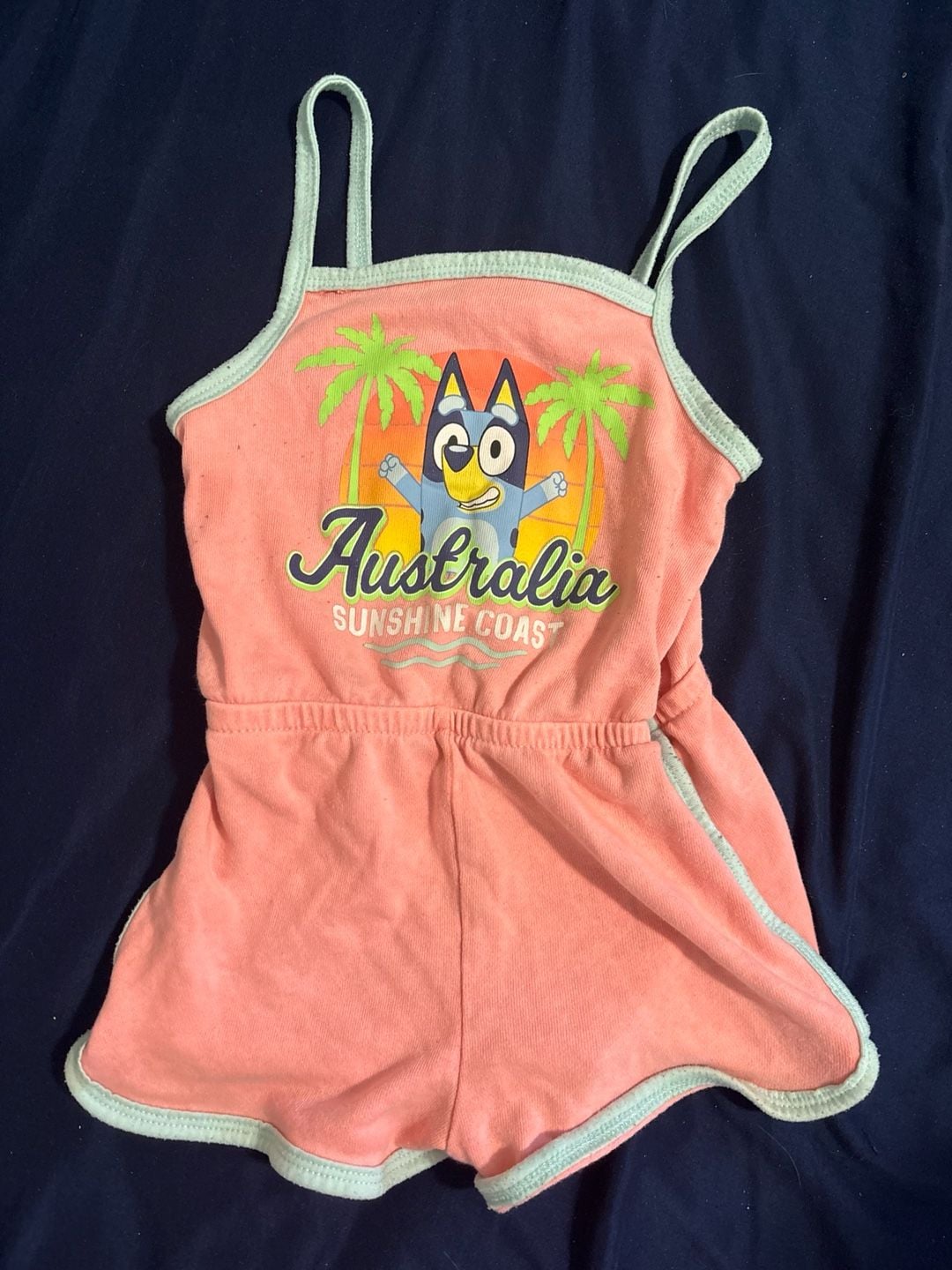 Bluey Toddler Girls Size 4T Clothing Bundle Dress, Romper, Pajama Set, & Sweatshirt 3