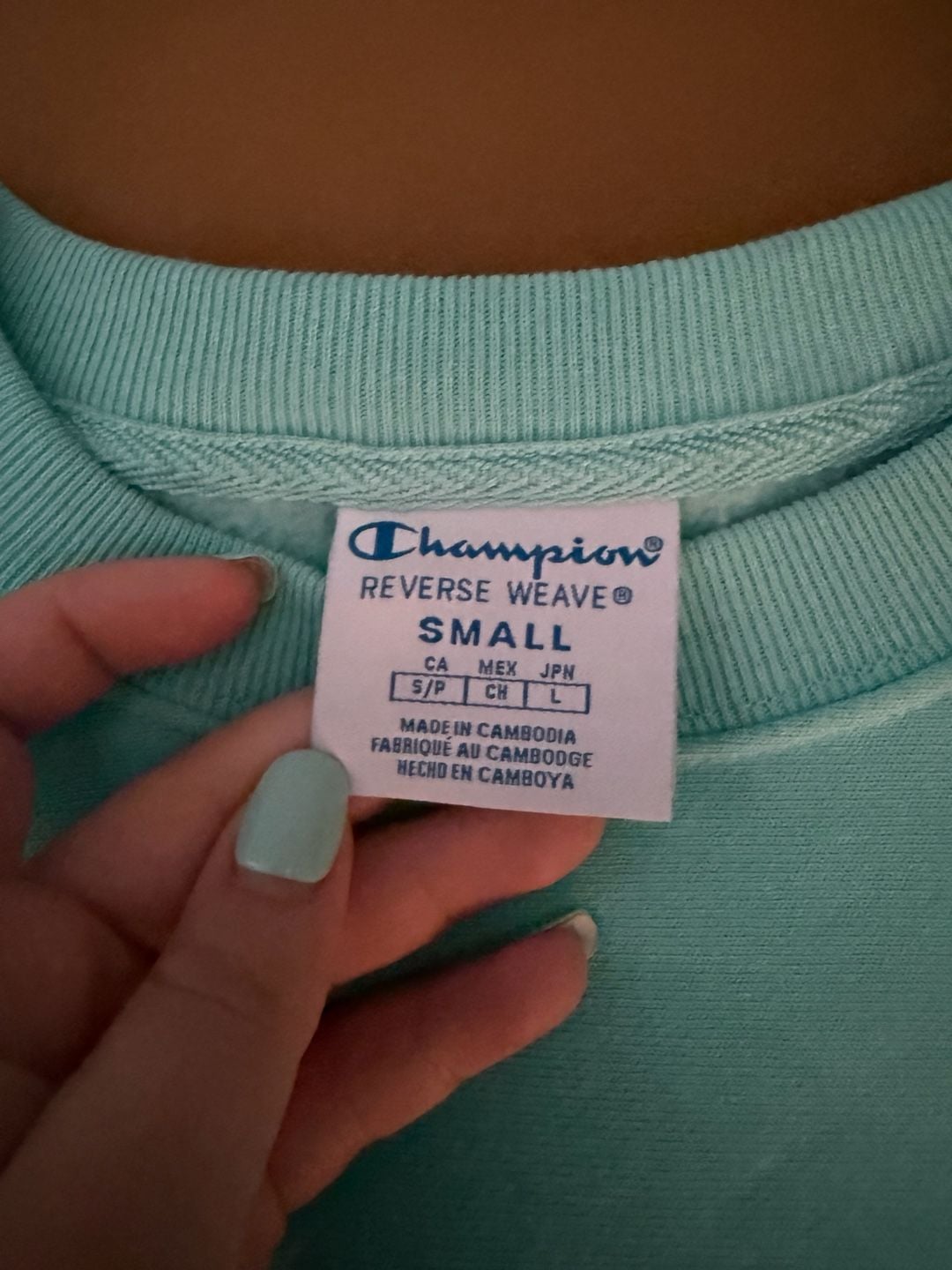 Champion Reverse Weave Mint Green Crewneck and Blue Cropped Hoodie Set 3