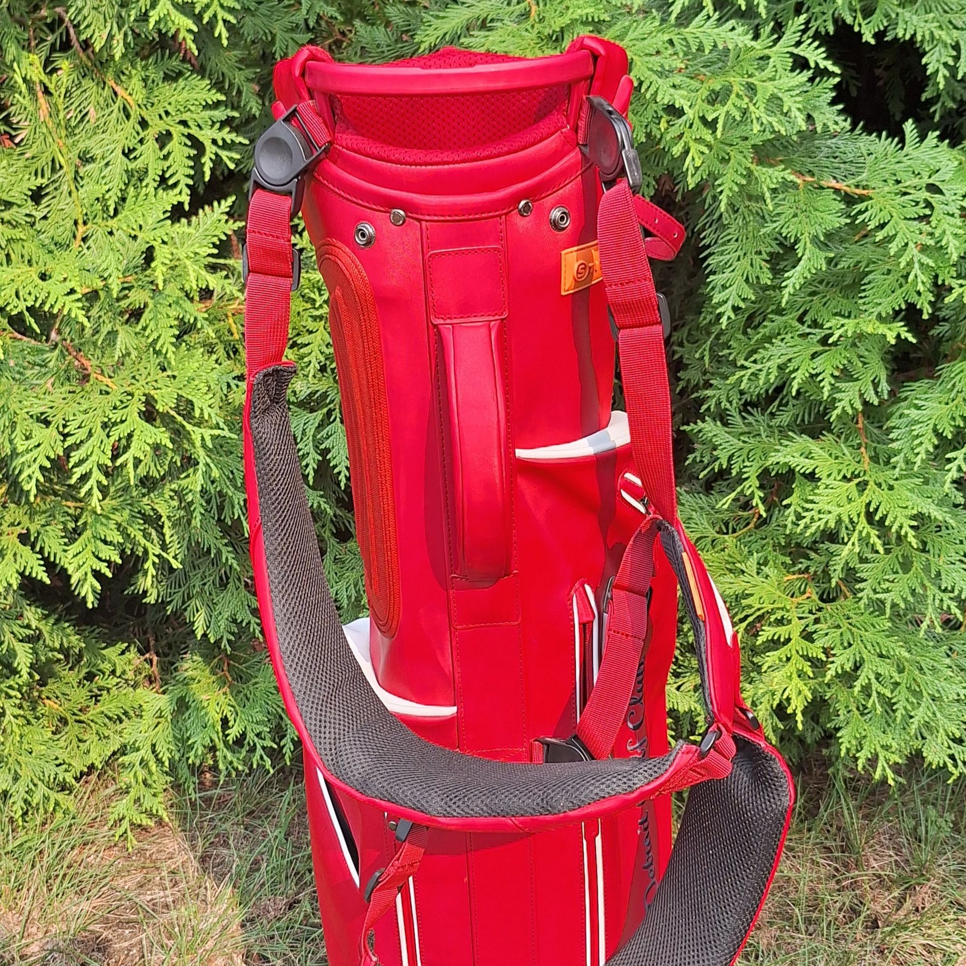 STITCH Golf Bag Custom Embroidered With DETROIT GOLF CLUB 6