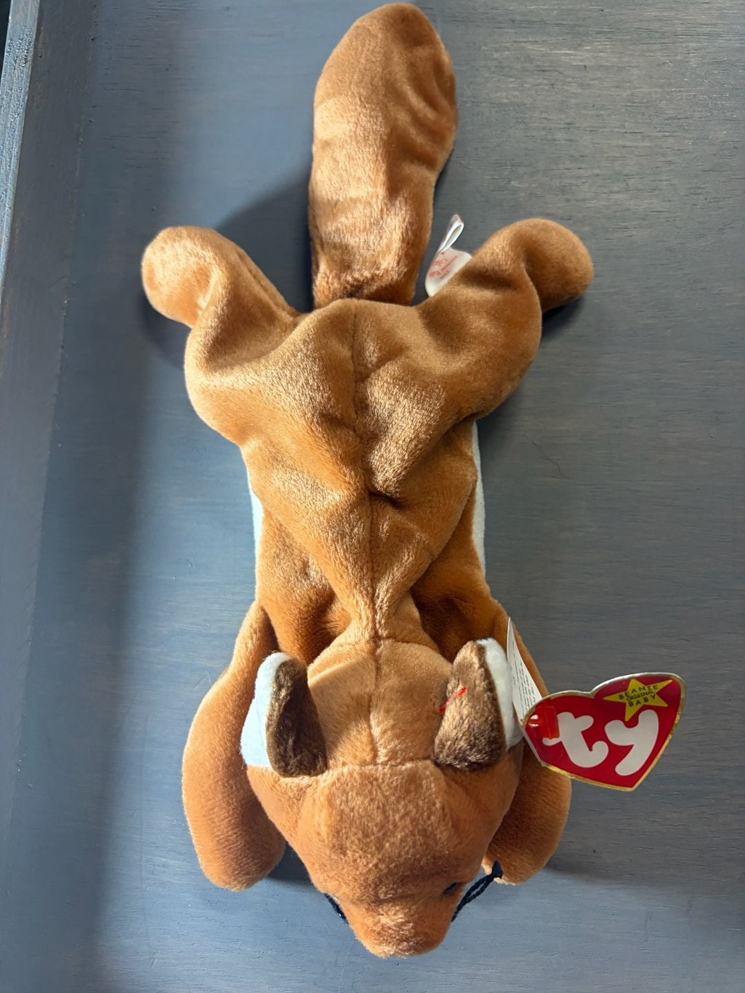 Ty Beanie Baby Sly the Fox 1996 Retired Plush 2