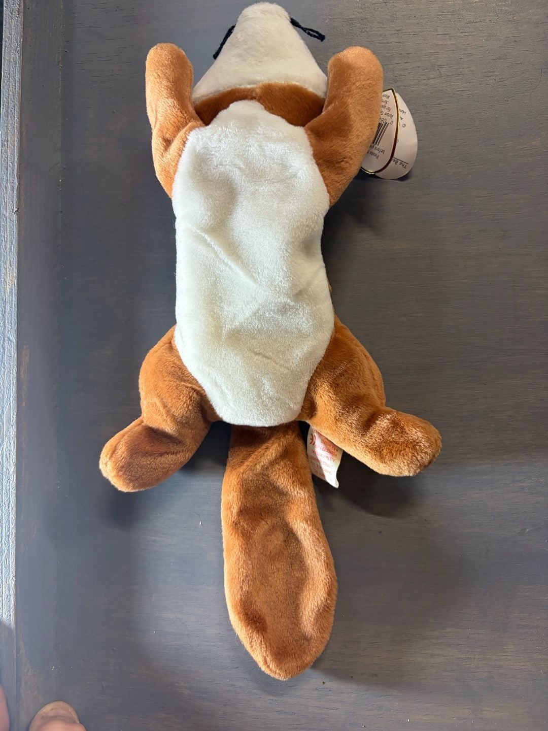 Ty Beanie Baby Sly the Fox 1996 Retired Plush 3