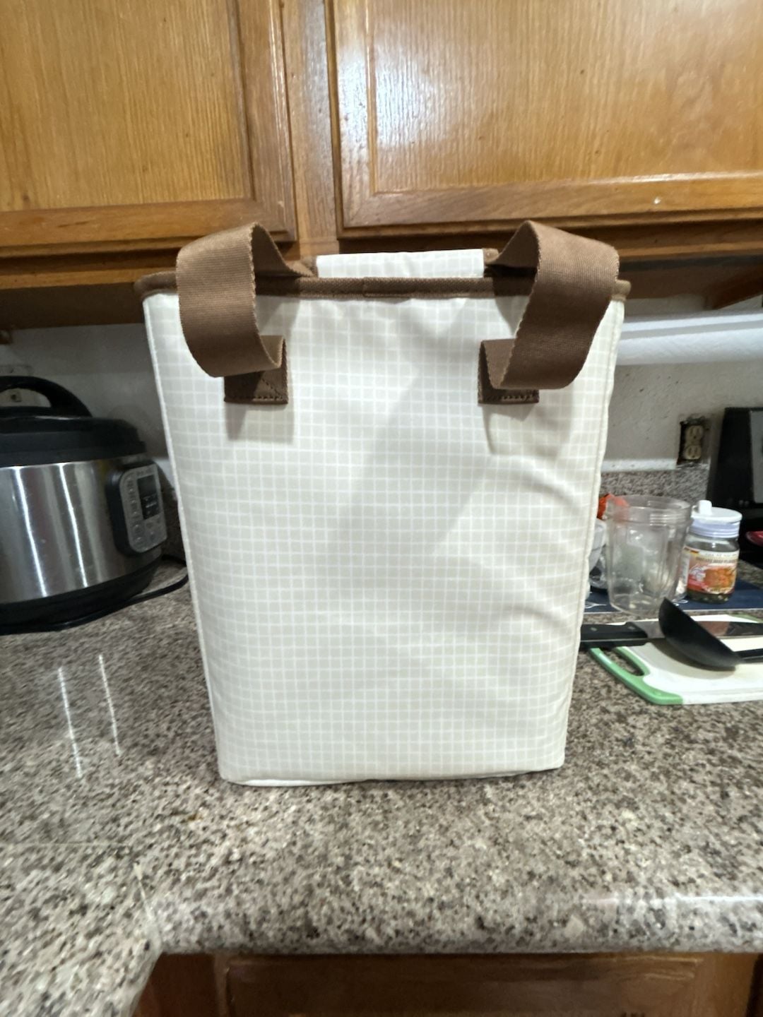 Live In Style Cooler Tote Bag Cream White Grid Pattern With Brown Trim 3