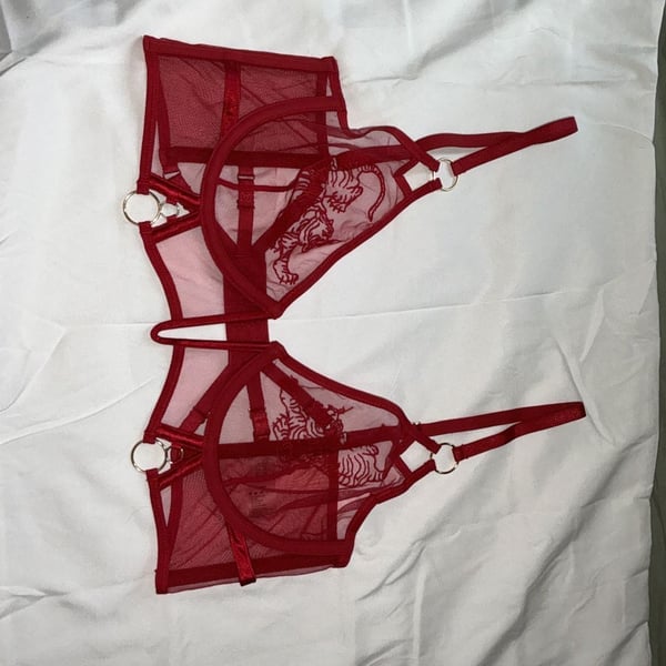 NWOT Thistle and Spire Red Embroidered Tigris Mesh Bra 38C Red