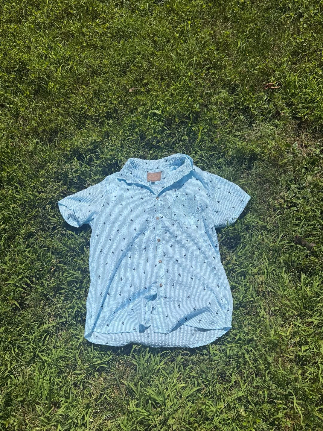 Weathergear Men's Blue Seersucker Short Sleeve Flamingo Print Button Down Shirt Size L 2