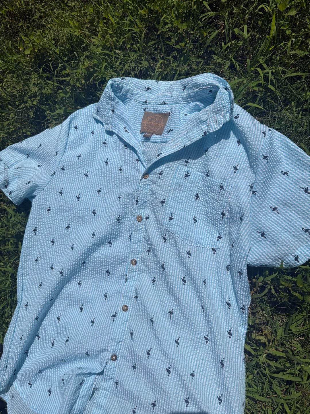Weathergear Men's Blue Seersucker Short Sleeve Flamingo Print Button Down Shirt Size L 4
