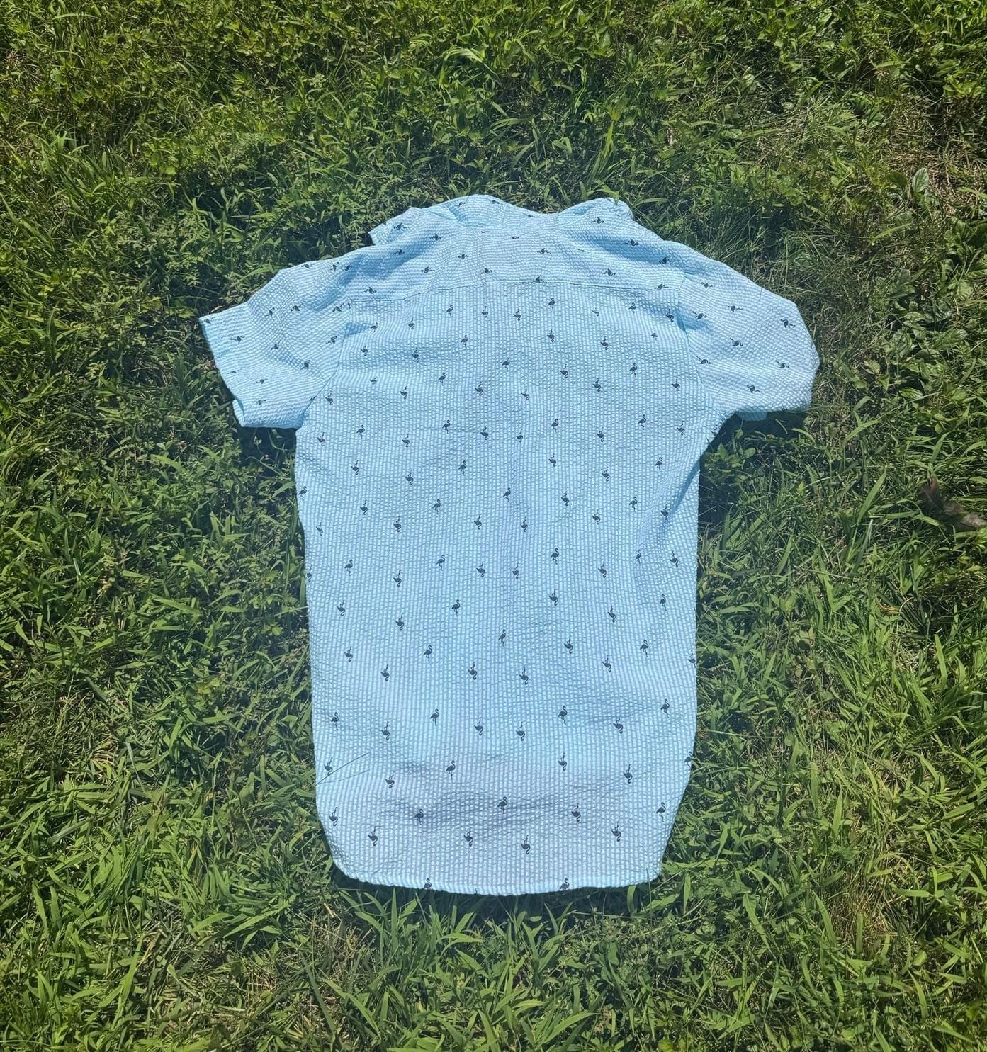 Weathergear Men's Blue Seersucker Short Sleeve Flamingo Print Button Down Shirt Size L 5
