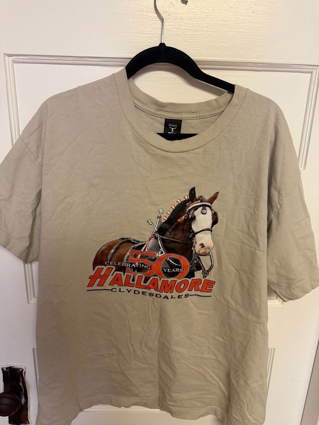 Hanes Beefy-T Celebrating 50 Years Hallamore Clydesdales Graphic Tee 2