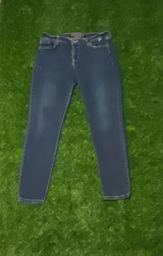 Arizona Jean Co. Women's Blue Denim Skinny Jeans 2