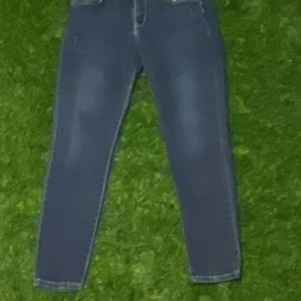 Arizona Jean Co. Women's Blue Denim Skinny Jeans