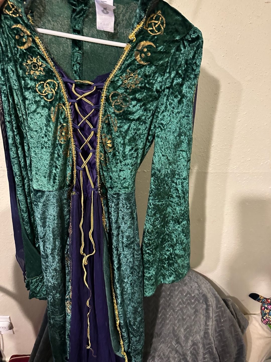 Disney Hocus Pocus Winifred Sanderson Adult Costume Green Velvet Dress 2