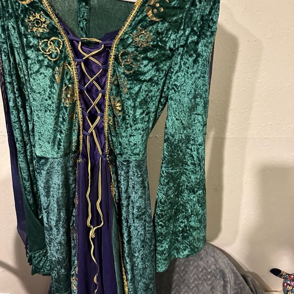 Disney Hocus Pocus Winifred Sanderson Adult Costume Green Velvet Dress