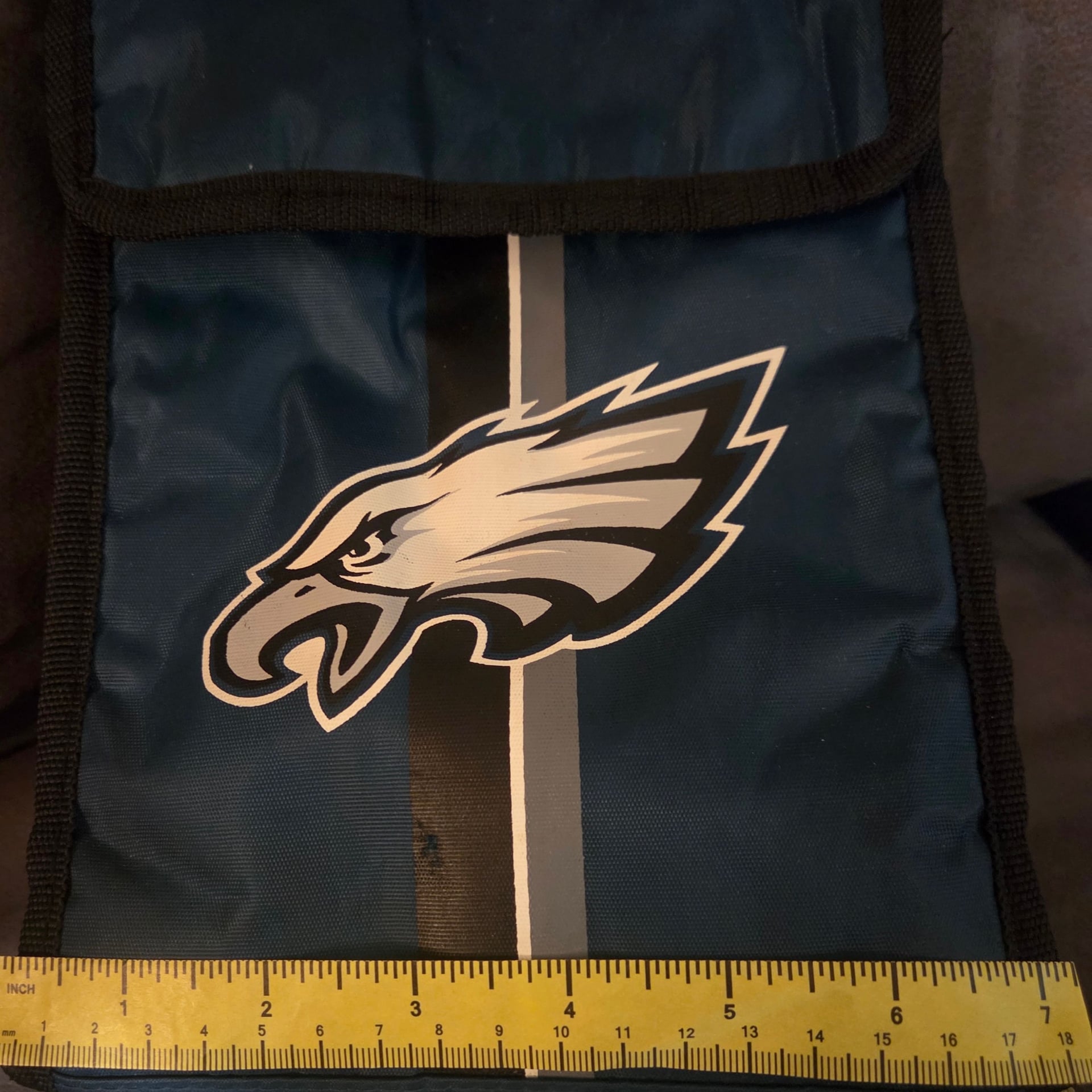 Philadelphia Eagles NFL Lunch Bag Cooler Tote 2