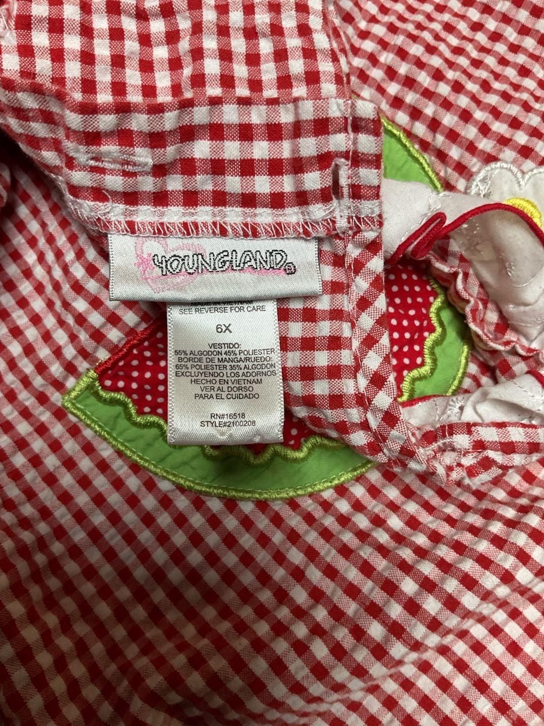Youngland Red Gingham Watermelon Pocket Ruffle Dress Size 6X 3