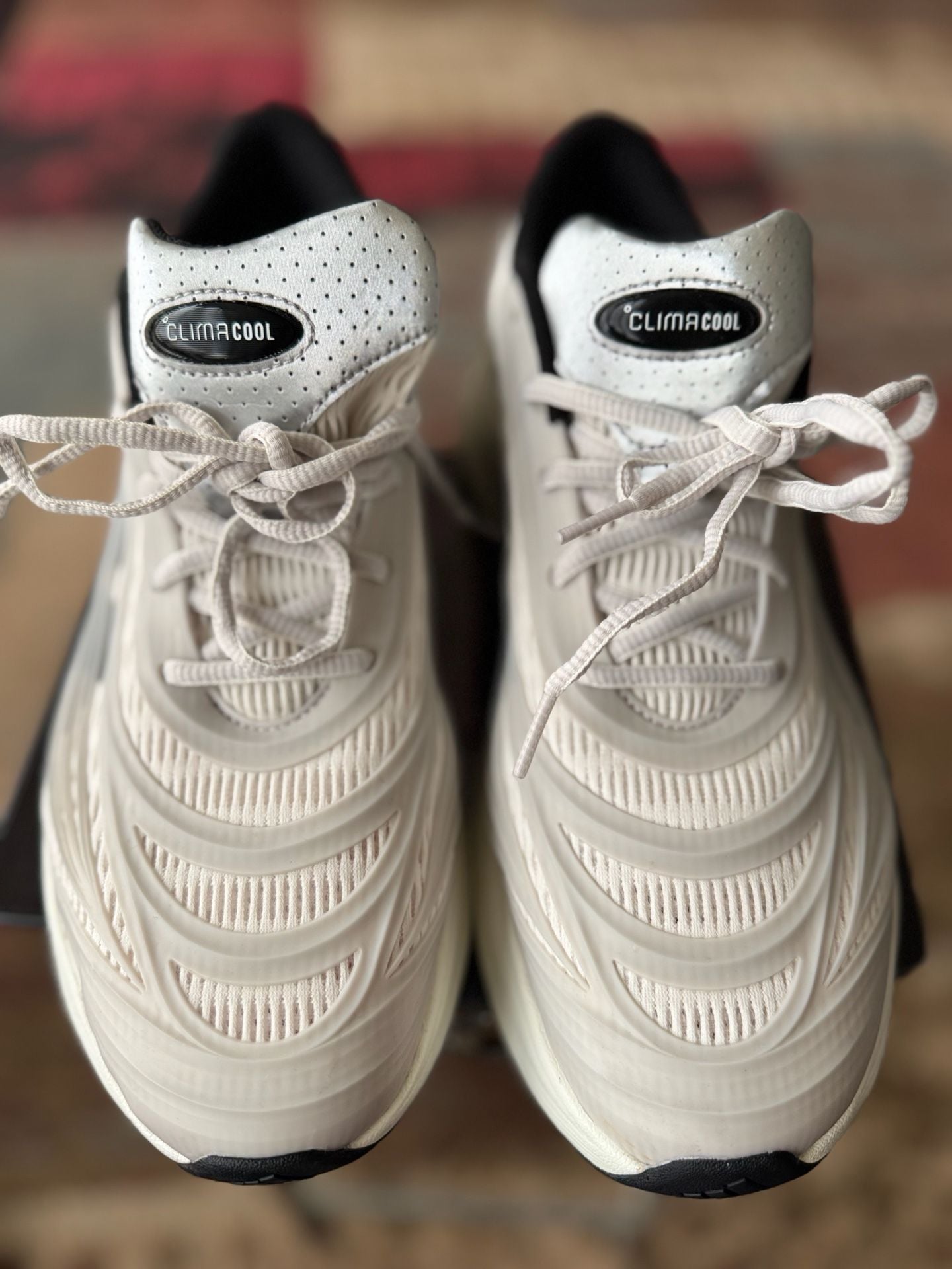 Adidas Climacool SPW Wonder White Black Sneakers 13 US 14