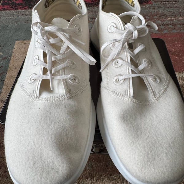 allbirds