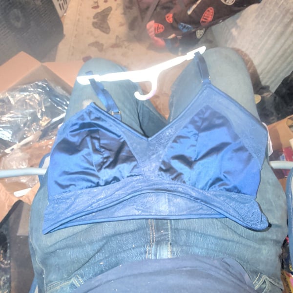 Auden Blue Satin Lace Triangle Bralette