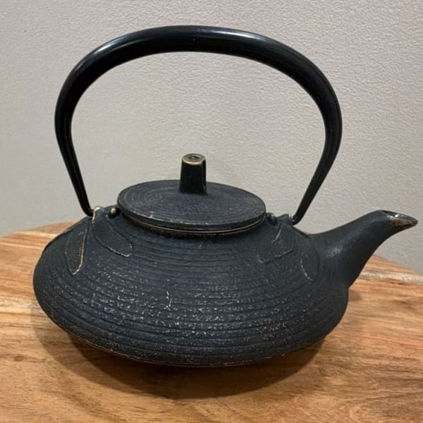 Iwachu Japanese Cast Iron Tetsubin Teapot Dragonfly Pattern with Infuser