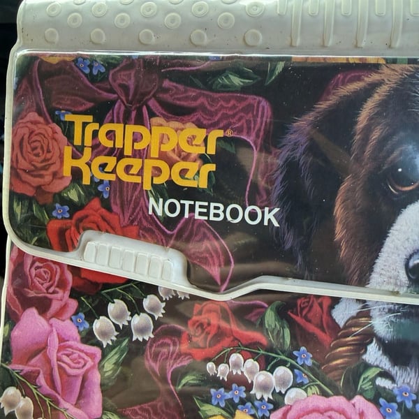 Vintage Original Trapper Keeper Portfolio Notebook St Bernard Dog Flowers 1994