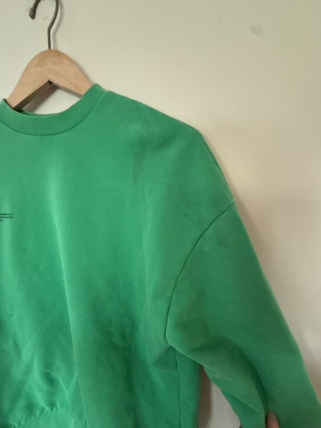 Pangaia Green Organic Cotton Crewneck Sweatshirt Size XS 4