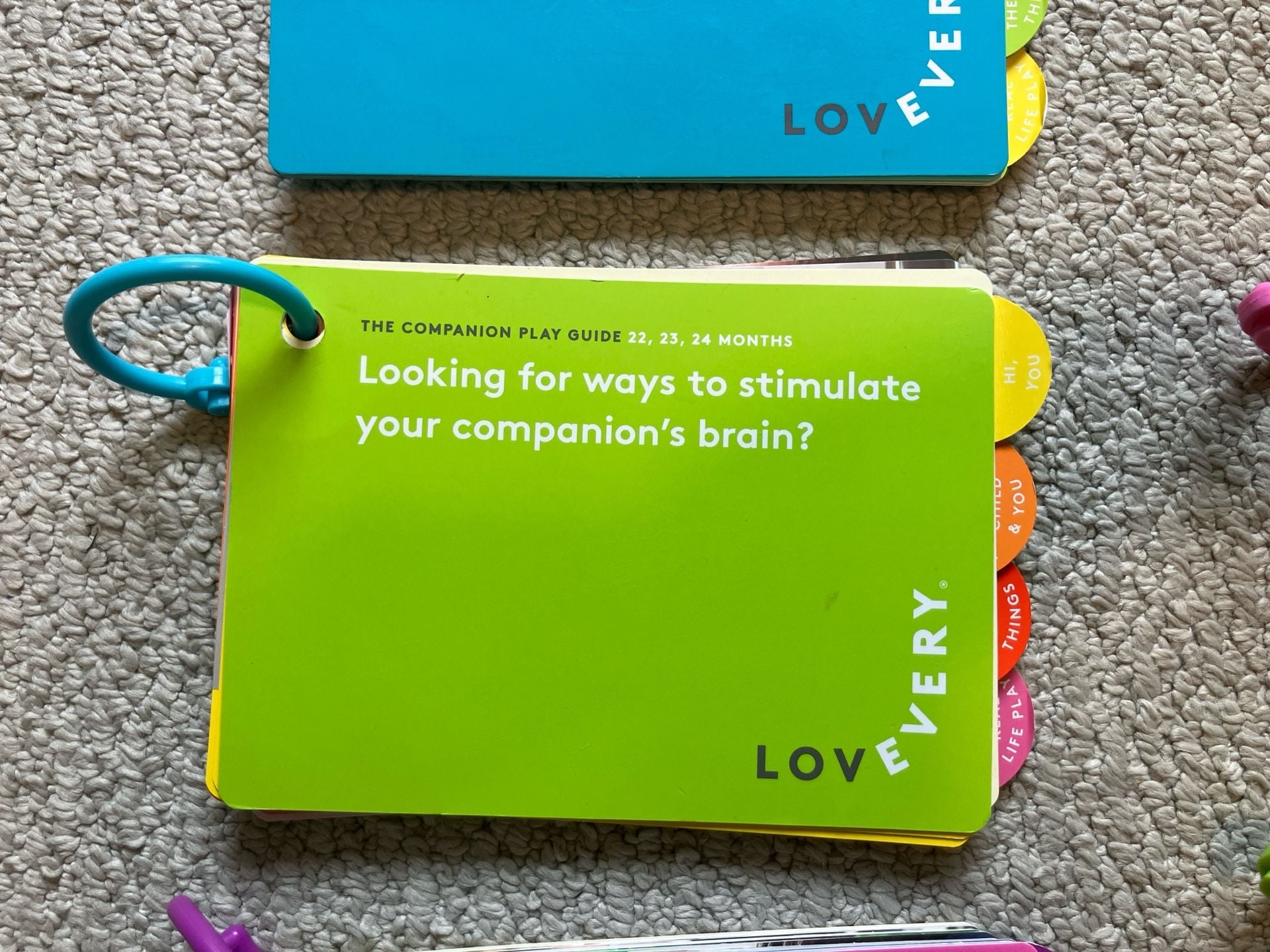 LOVEVERY Montessori Style Play Activity Guide Books 3