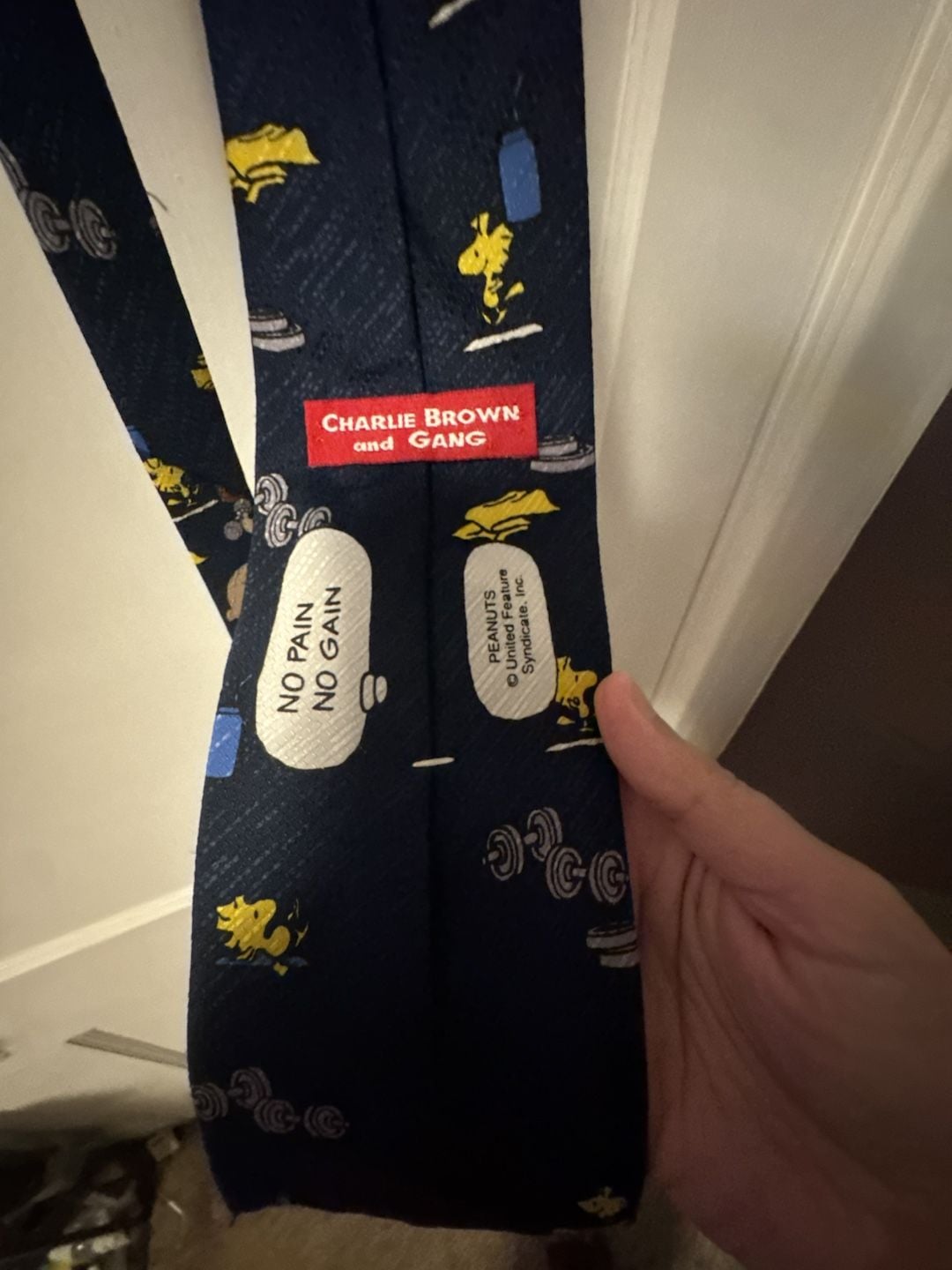 Vintage Charlie Brown and Gang Peanuts Workout Exercise No Pain No Gain Necktie 3