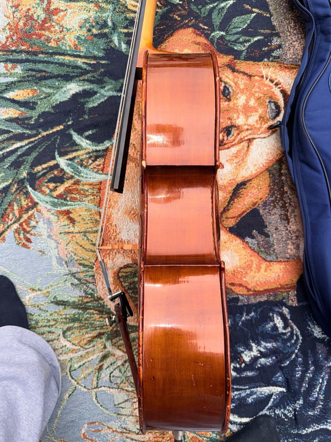 Roland Feller 1/4 Size Cello San Francisco w/ Blue Gig Bag Aubert Bridge 7