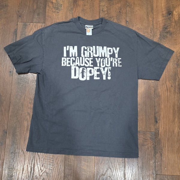Walt Disney World I'm Grumpy Because You're Dopey Grumpy Seven Dwarfs Gray T-Shirt