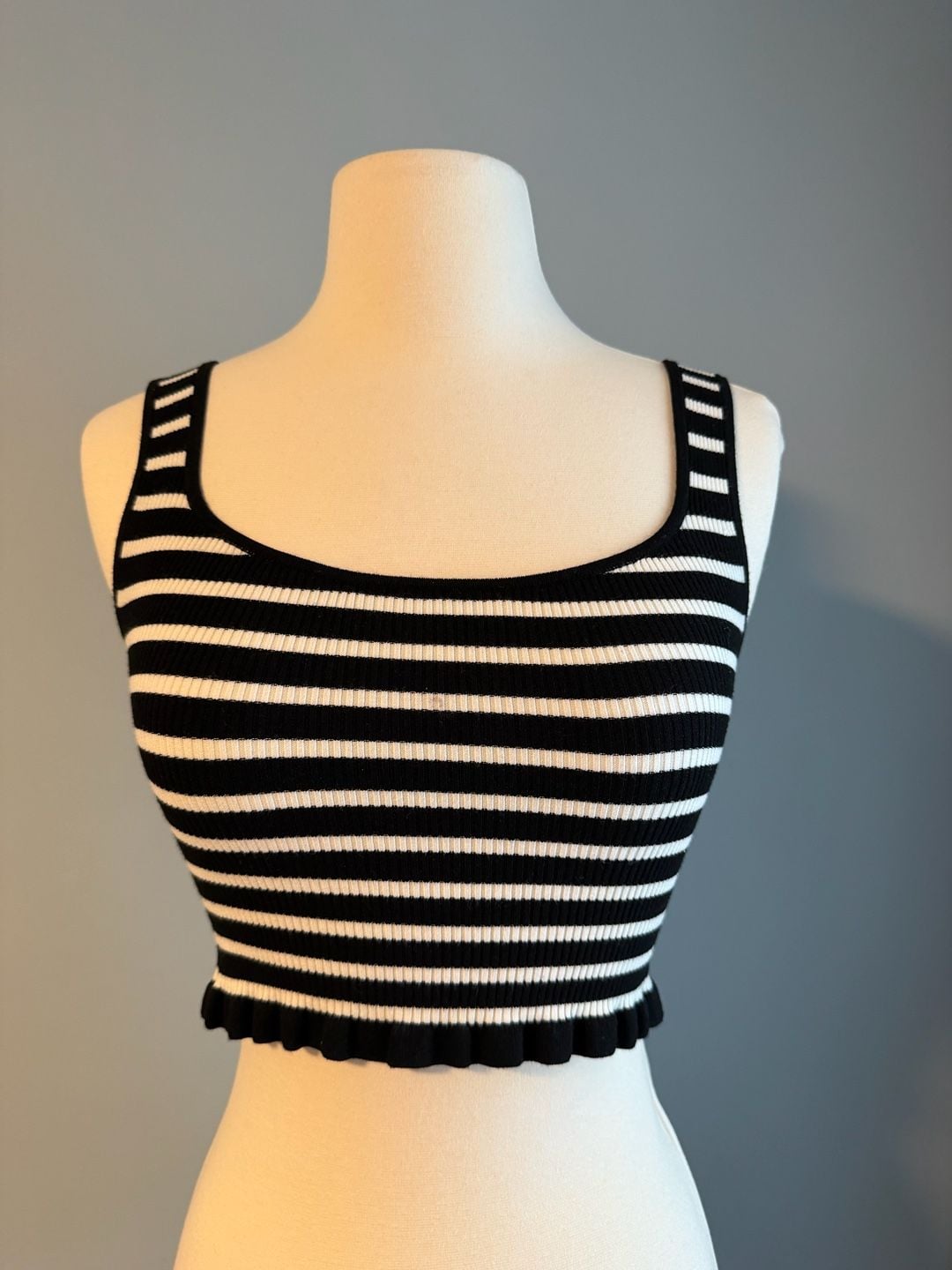 Wilfred Aritzia Brio Tank Black White Striped Ribbed Knit Cropped Top 2