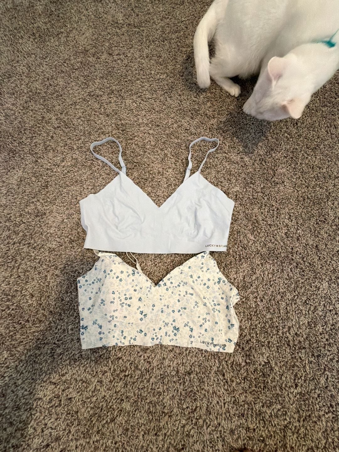 Lucky Brand Seamless V-Neck Bralette Set - Blue Solid and Blue Floral 2-Pack 1