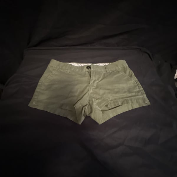 No Boundaries Sea Turtle Chino Shorts, Size 5