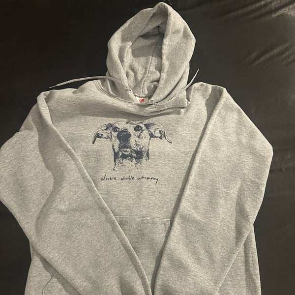 Double Double Whammy DDW Charlie Hoodie Gray Medium Hanes EcoSmart