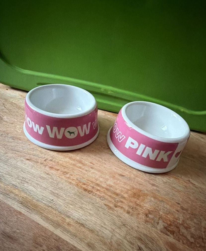 Rare Victoria's Secret PINK Ceramic Pet Bowls Set of 2 1
