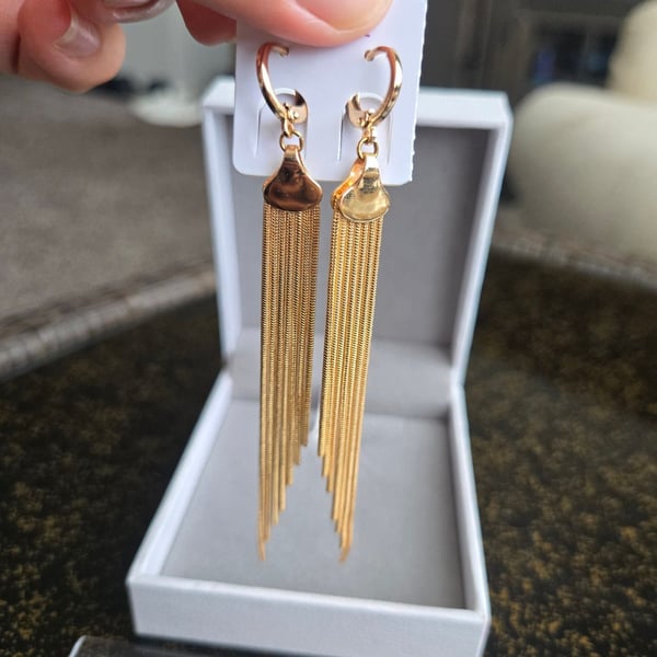 Assorted Stylish Long Lasting Earings