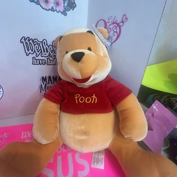 Disney Winnie the Pooh Plush Stuffed Animal with Red Shirt