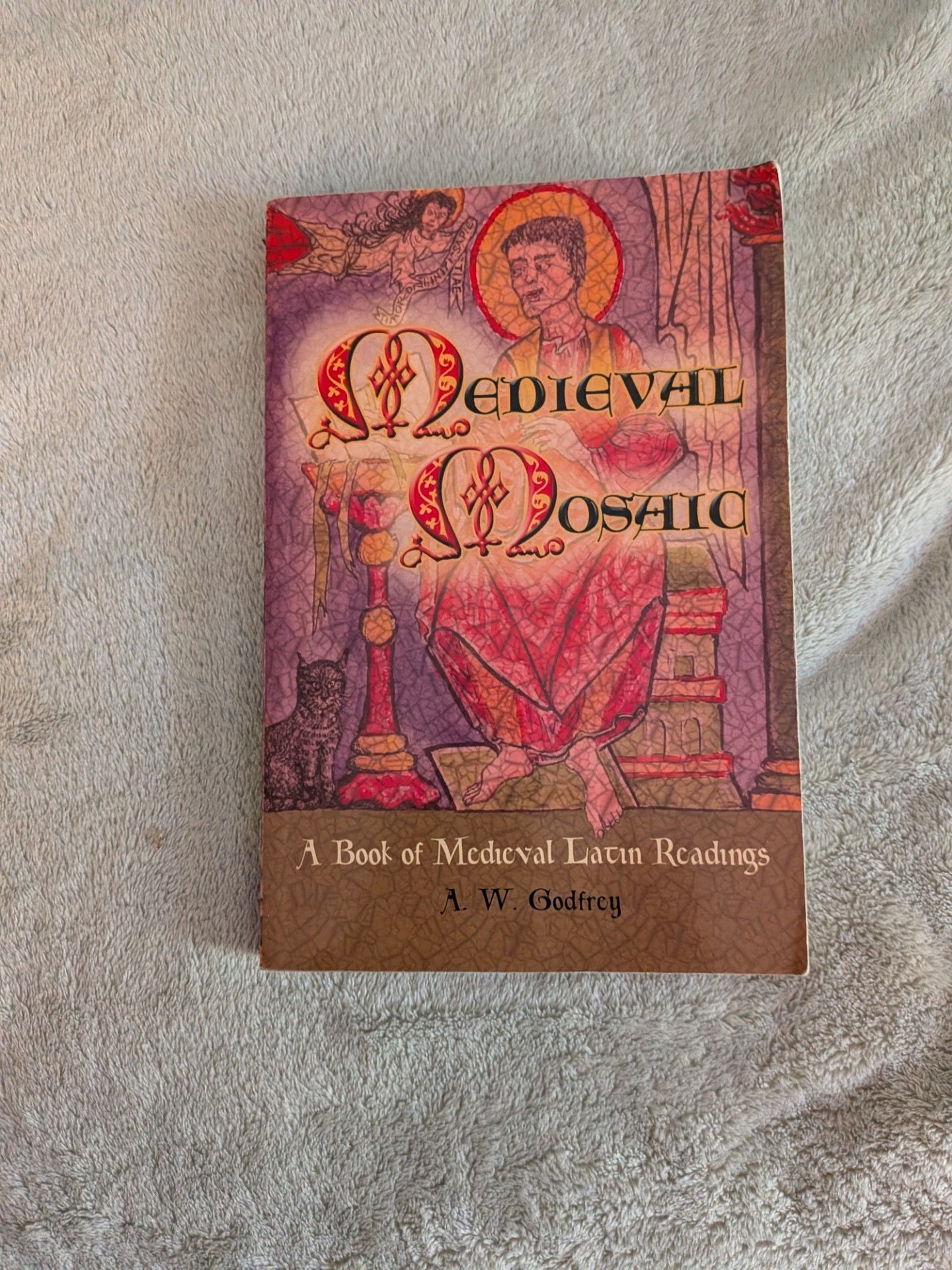 Medieval Mosaic: A Book of Medieval Latin Readings by A.W. Godfrey 1
