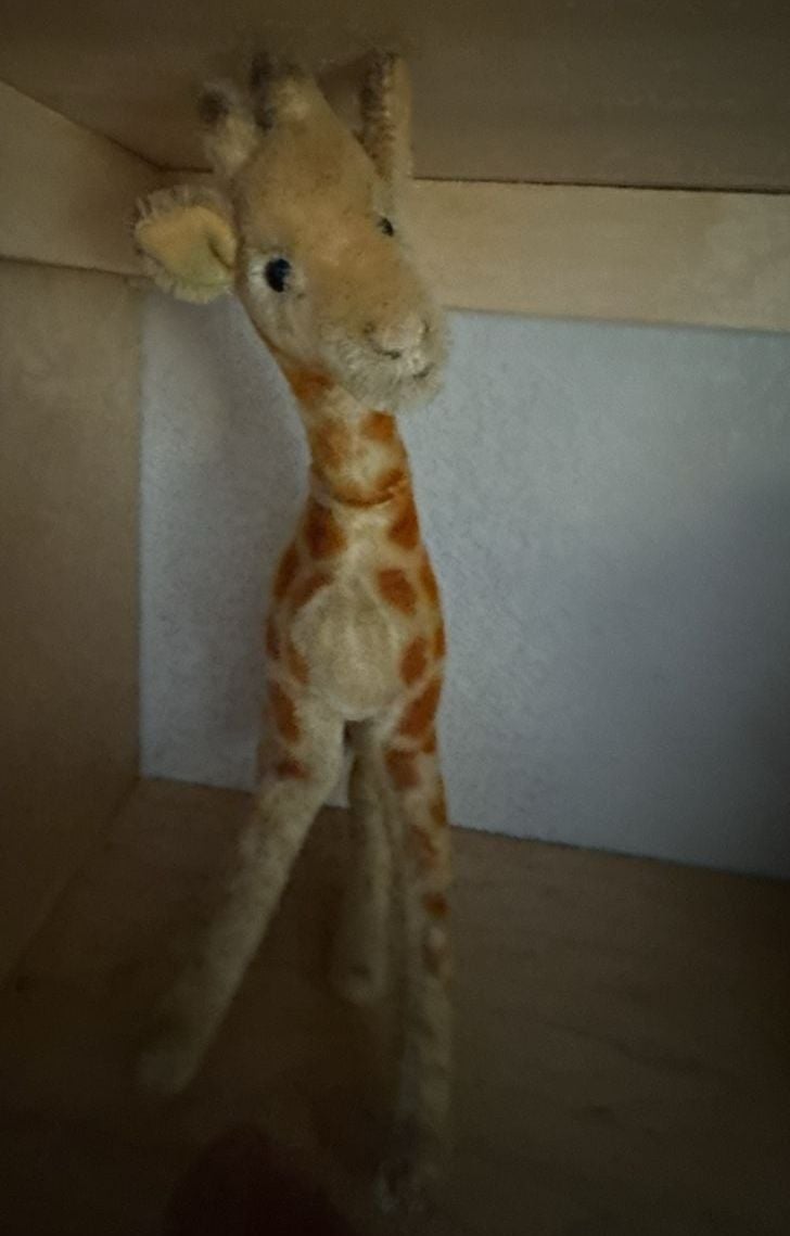 Steiff Giraffe  14" missing button and tag 8