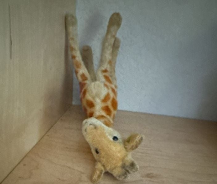 Steiff Giraffe  14" missing button and tag 7