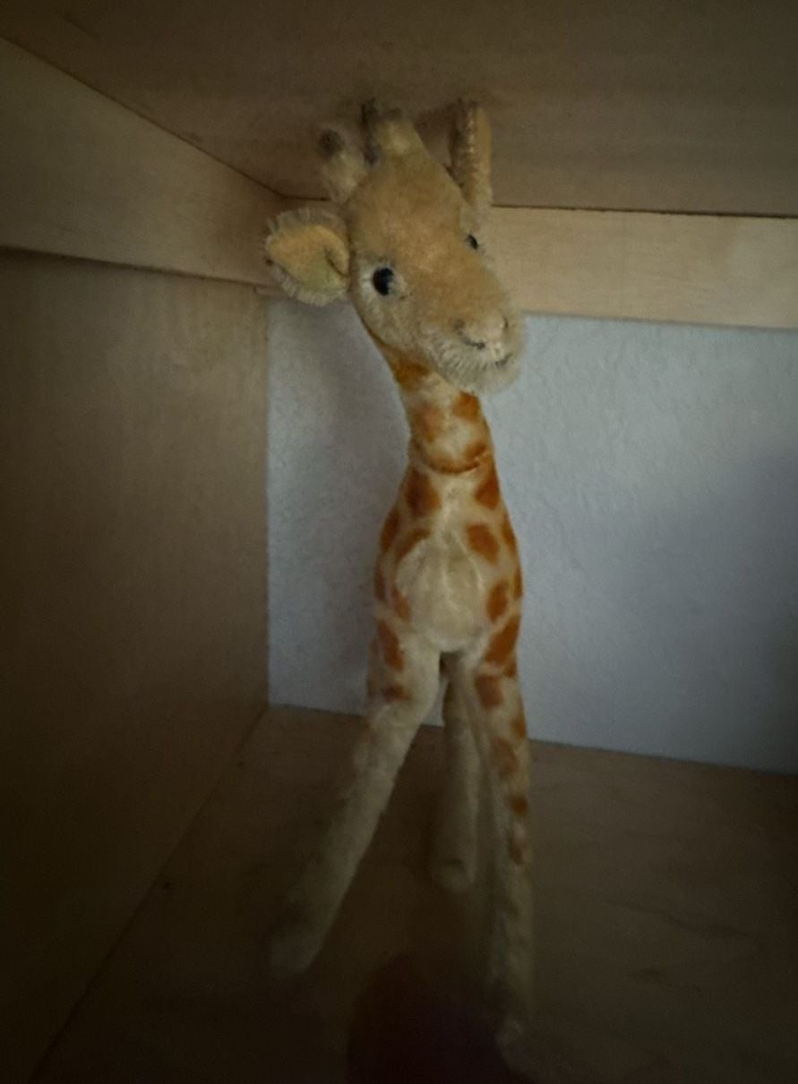 Steiff Giraffe  14" missing button and tag 9