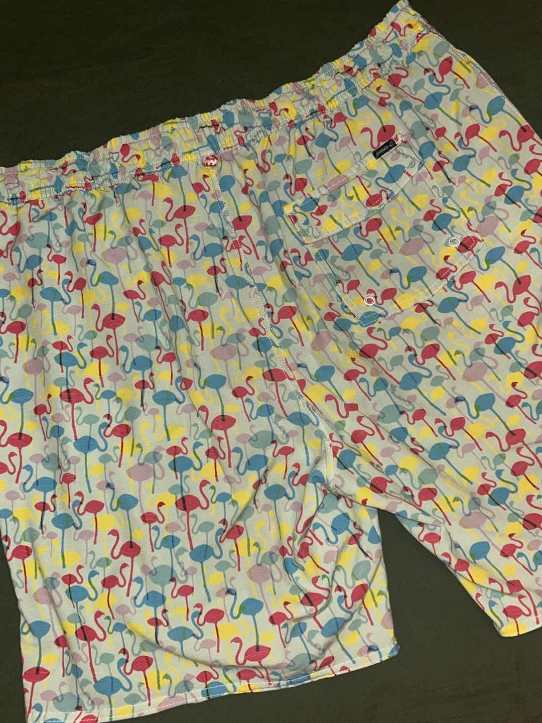 johnnie-O Flamingo Print Swim Trunks 4