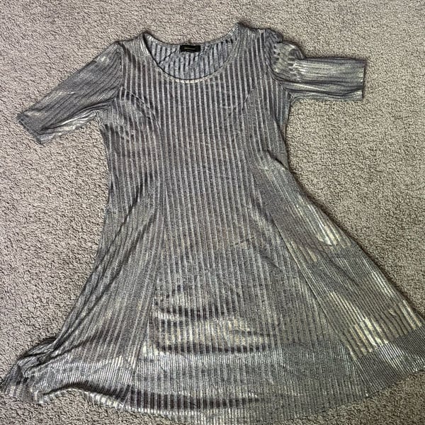 Band of Gypsies x Zoe & Rose Silver A-Line Fit n Flare Mini Dress - Size Large