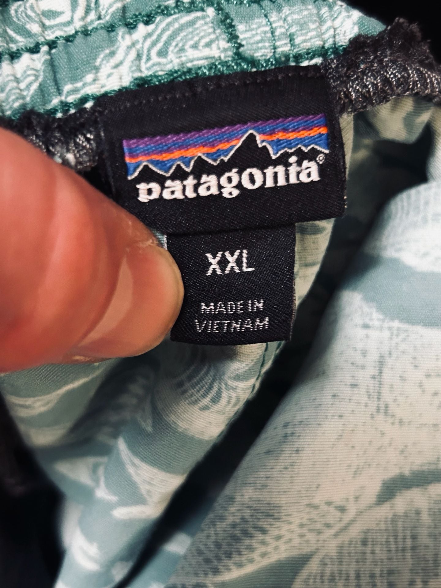 Patagonia Patagonia Baggies Size XXL 5 inch inseam Fish Pattern 6