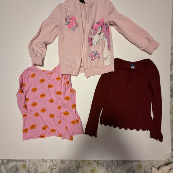 Girls 3-Piece Clothing Bundle: Pink Unicorn Full-Zip Hoodie, Pink Pumpkin Long Sleeve Shirt, and Burgundy Ruffle Top