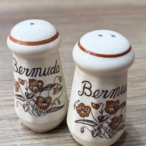 Vintage Bermuda Souvenir Ceramic Floral Salt and Pepper Shakers Set