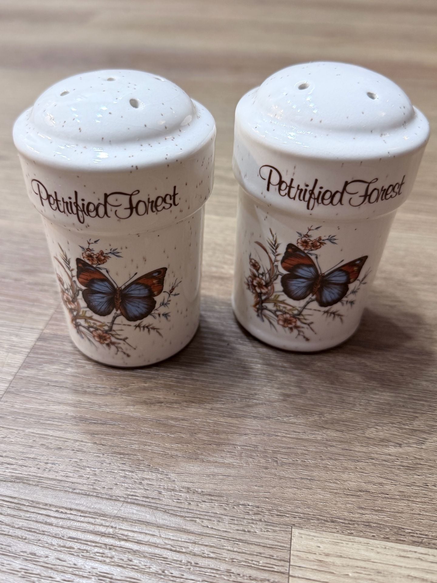 Vintage Petrified Forest Butterfly Large Salt and Pepper Shakers 1
