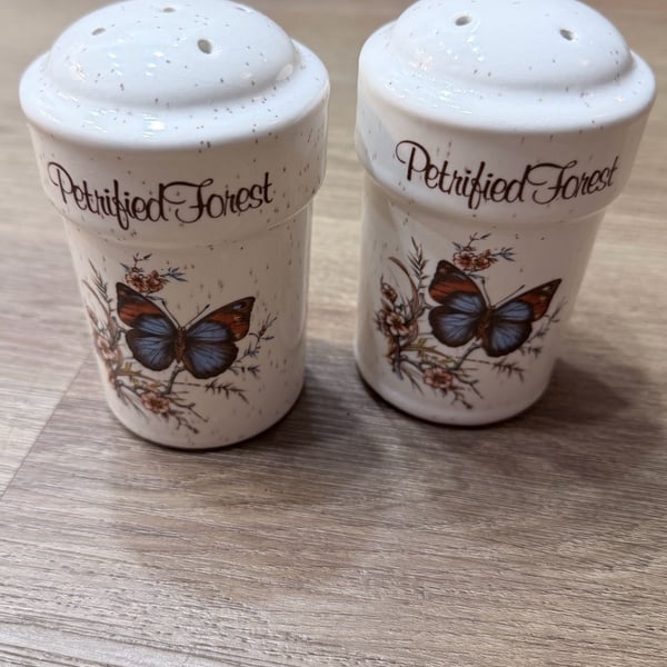 Vintage Petrified Forest Butterfly Large Salt and Pepper Shakers