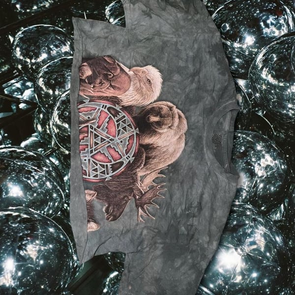The Mountain Animal Spirit Circle David Behrens Tie Dye T-Shirt