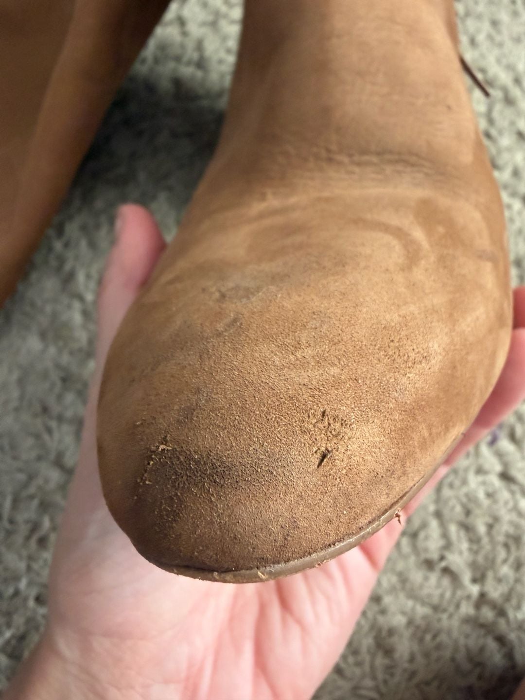 Steve Madden Ninny Camel Nubuck Leather Knee High Heeled Boots Size 9M 8