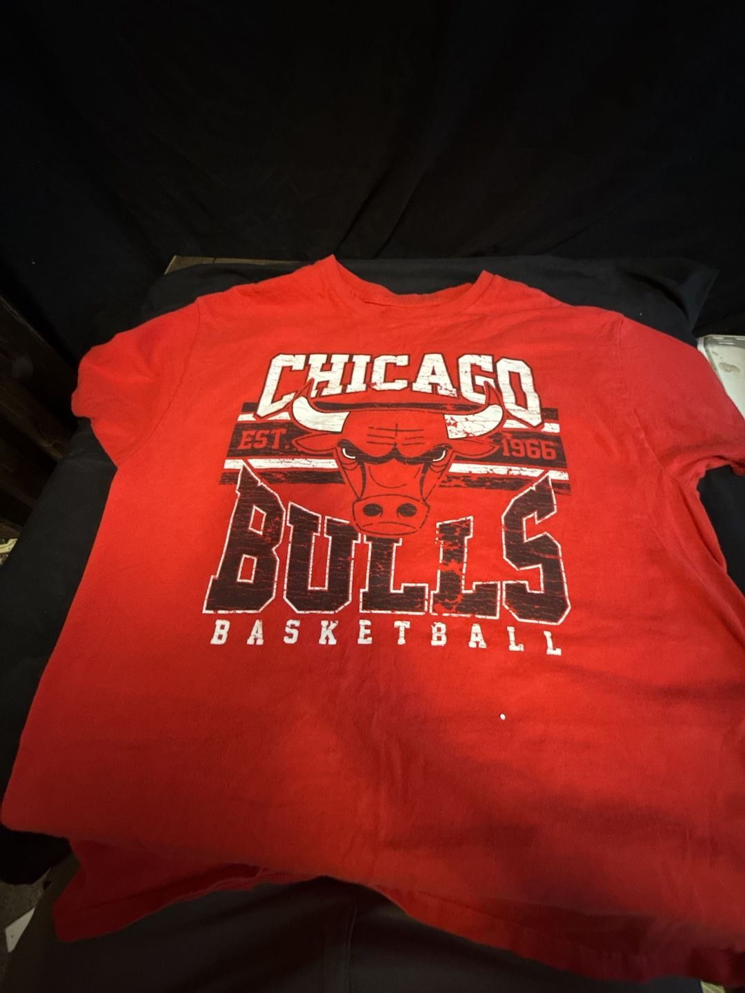 Chicago Bulls Vintage Graphic Tee - Red - Size XL 2